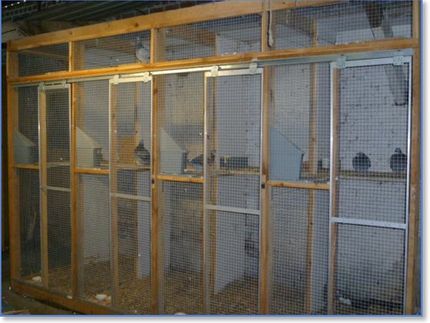 4 of the 12 breeding boxes